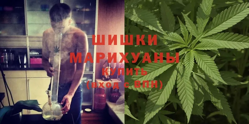 Каннабис Ganja  Дубовка 